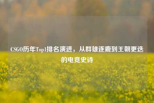 CSGO历年Top1排名演进，从群雄逐鹿到王朝更迭的电竞史诗