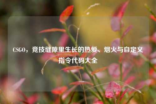 CSGO，竞技缝隙里生长的热爱、烟火与自定义指令代码大全