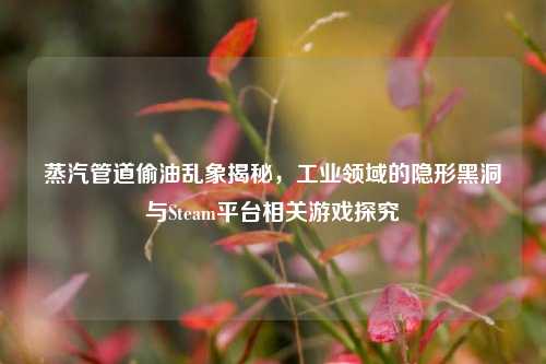 蒸汽管道偷油乱象揭秘,工业领域的隐形黑洞与Steam平台相关游戏探究