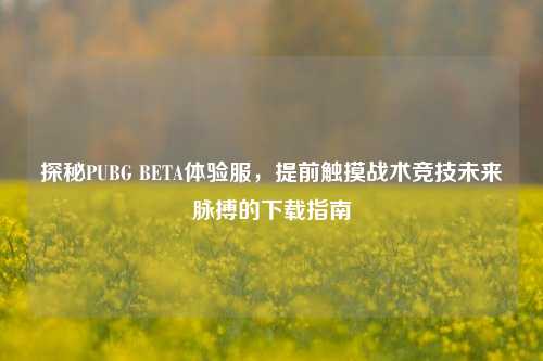 探秘PUBG BETA体验服，提前触摸战术竞技未来脉搏的下载指南