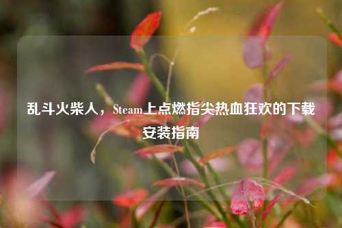 乱斗火柴人,Steam上点燃指尖热血狂欢的下载安装指南