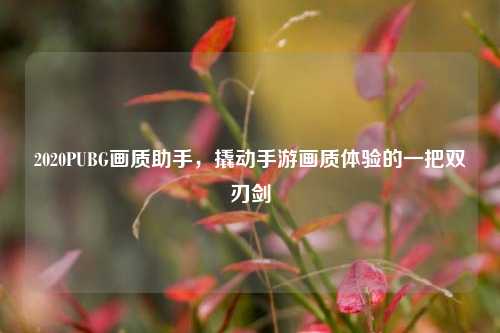 2020PUBG画质助手,撬动手游画质体验的一把双刃剑