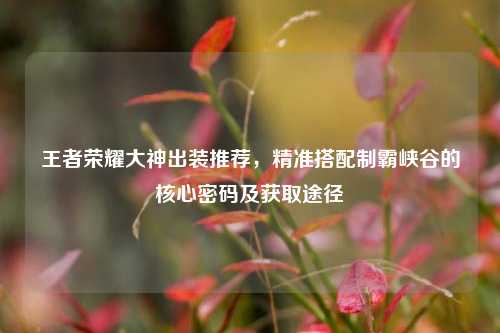 王者荣耀大神出装推荐，精准搭配制霸峡谷的核心密码及获取途径