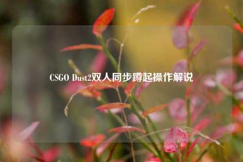 CSGO Dust2双人同步蹲起操作解说