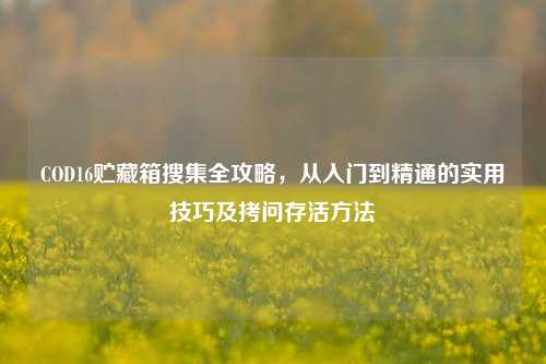 COD16贮藏箱搜集全攻略，从入门到精通的实用技巧及拷问存活方法