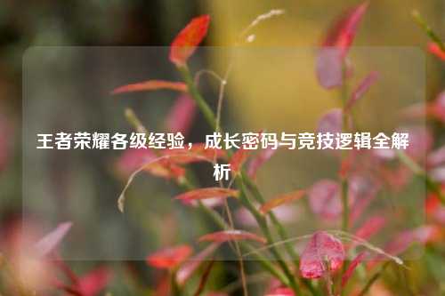 王者荣耀各级经验，成长密码与竞技逻辑全解析