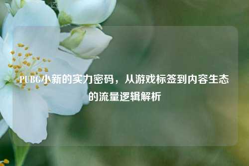 PUBG小新的实力密码，从游戏标签到内容生态的流量逻辑解析