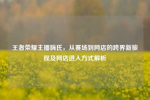 王者荣耀主播嗨氏，从赛场到网店的跨界新旅程及网店进入方式解析