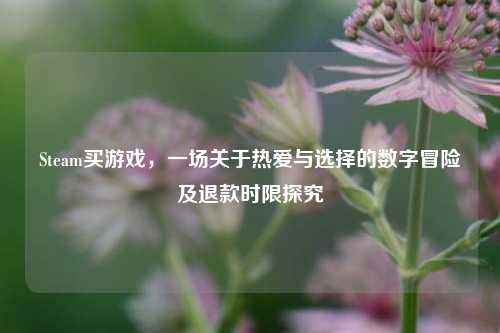 Steam买游戏，一场关于热爱与选择的数字冒险及退款时限探究