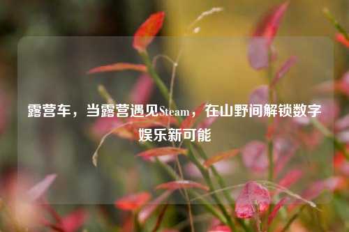 露营车，当露营遇见Steam，在山野间解锁数字娱乐新可能