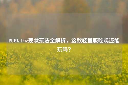 PUBG Lite现状玩法全解析，这款轻量版吃鸡还能玩吗？