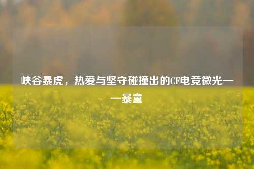 峡谷暴虎，热爱与坚守碰撞出的CF电竞微光——暴童