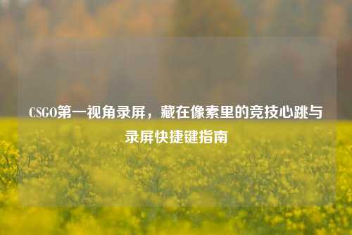 CSGO第一视角录屏，藏在像素里的竞技心跳与录屏快捷键指南