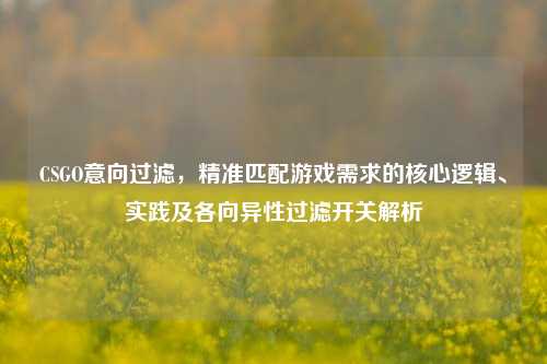 CSGO意向过滤，精准匹配游戏需求的核心逻辑、实践及各向异性过滤开关解析