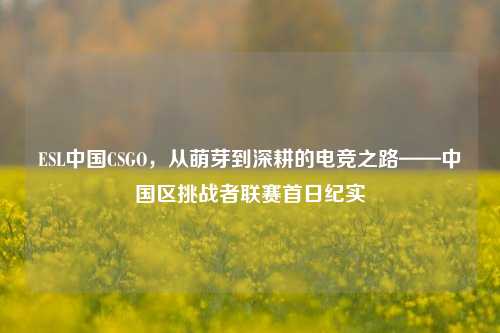ESL中国CSGO,从萌芽到深耕的电竞之路——中国区挑战者联赛首日纪实