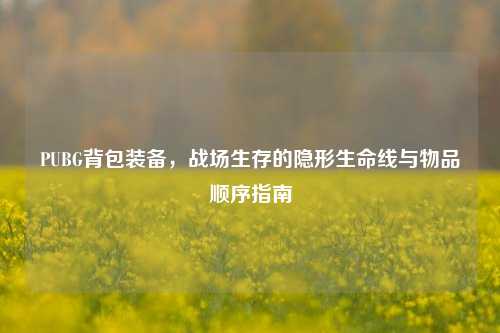PUBG背包装备，战场生存的隐形生命线与物品顺序指南