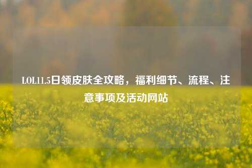 LOL11.5日领皮肤全攻略，福利细节、流程、注意事项及活动网站