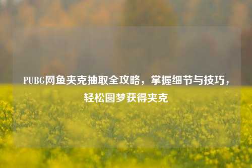 PUBG网鱼夹克抽取全攻略，掌握细节与技巧，轻松圆梦获得夹克