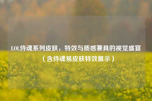 LOL侍魂系列皮肤，特效与质感兼具的视觉盛宴（含侍魂易皮肤特效展示）