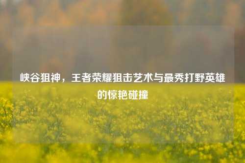峡谷狙神，王者荣耀狙击艺术与最秀打野英雄的惊艳碰撞