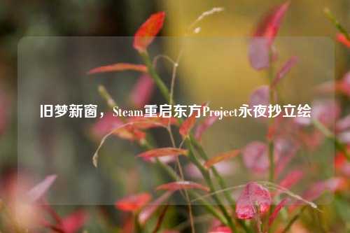 旧梦新窗，Steam重启东方Project永夜抄立绘