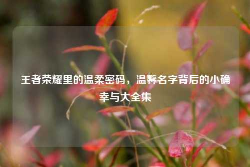 王者荣耀里的温柔密码，温馨名字背后的小确幸与大全集