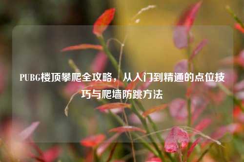 PUBG楼顶攀爬全攻略，从入门到精通的点位技巧与爬墙防跳方法