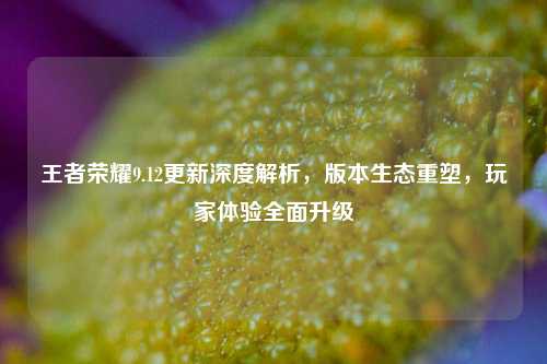 王者荣耀9.12更新深度解析，版本生态重塑，玩家体验全面升级