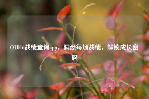 COD16战绩查询app，洞悉每场战绩，解锁成长密码