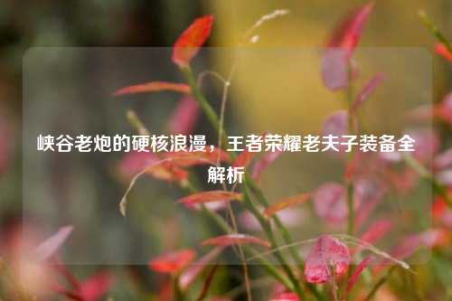 峡谷老炮的硬核浪漫，王者荣耀老夫子装备全解析