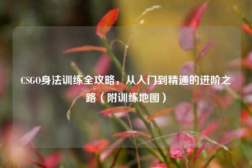 CSGO身法训练全攻略，从入门到精通的进阶之路（附训练地图）
