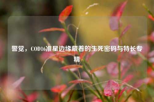 警觉,COD16准星边缘藏着的生死密码与特长专精