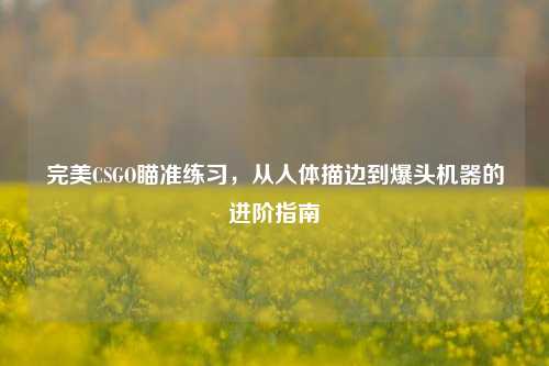 完美CSGO瞄准练习，从人体描边到爆头机器的进阶指南