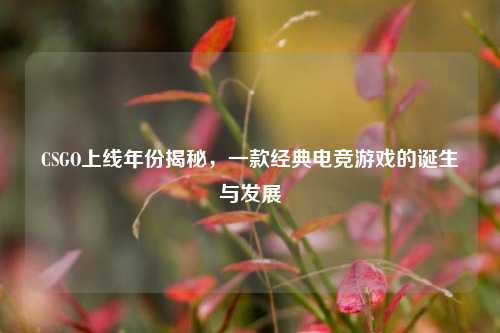 CSGO上线年份揭秘，一款经典电竞游戏的诞生与发展