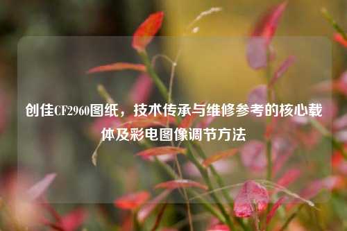 创佳CF2960图纸，技术传承与维修参考的核心载体及彩电图像调节方法