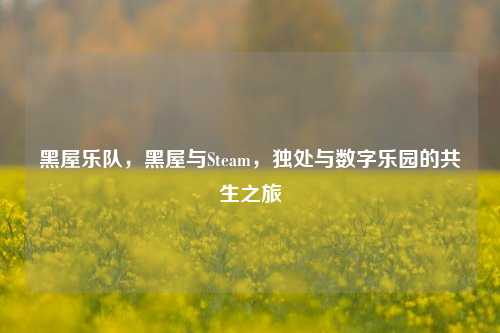 黑屋乐队，黑屋与Steam，独处与数字乐园的共生之旅