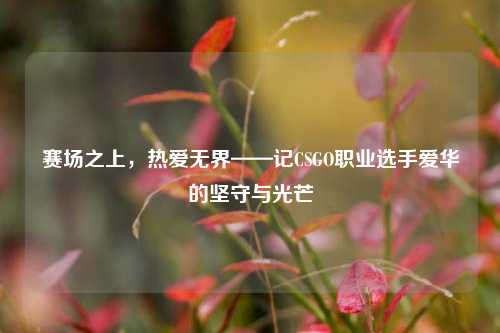 赛场之上，热爱无界——记CSGO职业选手爱华的坚守与光芒