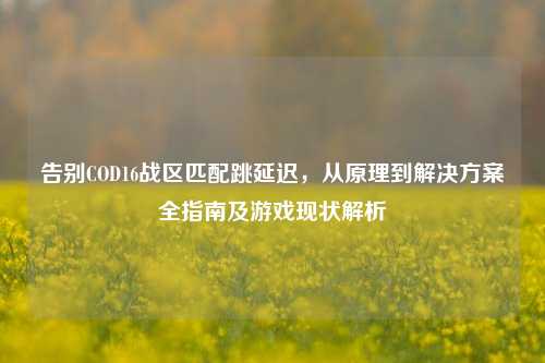告别COD16战区匹配跳延迟，从原理到解决方案全指南及游戏现状解析