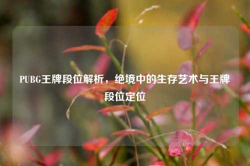PUBG王牌段位解析，绝境中的生存艺术与王牌段位定位