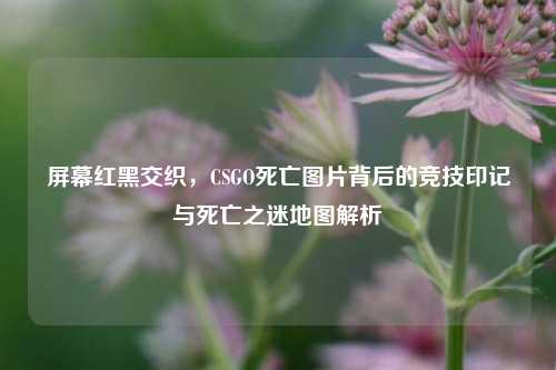 屏幕红黑交织，CSGO死亡图片背后的竞技印记与死亡之迷地图解析