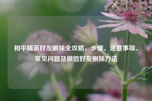和平精英好友删除全攻略，步骤、注意事项、常见问题及微信好友删除方法