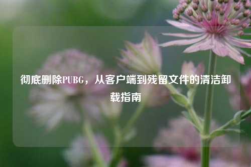 彻底删除PUBG，从客户端到残留文件的清洁卸载指南