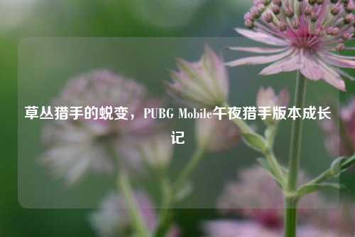 草丛猎手的蜕变，PUBG Mobile午夜猎手版本成长记