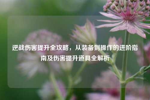 逆战伤害提升全攻略，从装备到操作的进阶指南及伤害提升道具全解析
