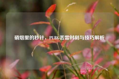 硝烟里的秒针，PUBG丢雷时刻与技巧解析