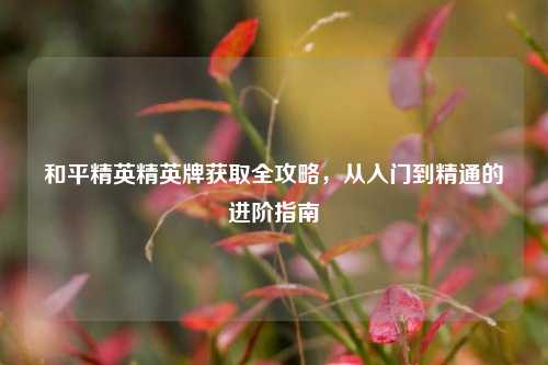 和平精英精英牌获取全攻略,从入门到精通的进阶指南