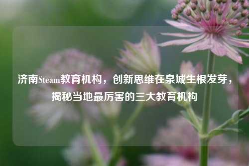 济南Steam教育机构，创新思维在泉城生根发芽，揭秘当地最厉害的三大教育机构