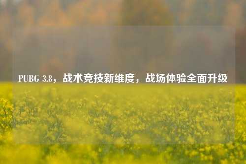 PUBG 3.8，战术竞技新维度，战场体验全面升级
