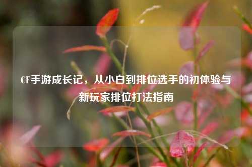 CF手游成长记，从小白到排位选手的初体验与新玩家排位打法指南