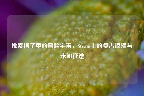 像素格子里的冒险宇宙，Steam上的复古浪漫与未知征途